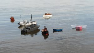 IMG20250914102145